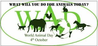 World Animal Day